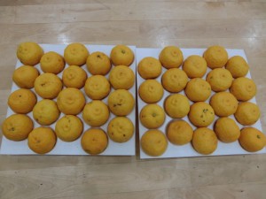 CIMG0041